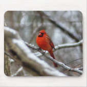 Männlicher Kardinal Mousepad (Vorne)