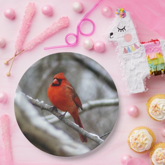 Männlicher Kardinal Pappteller (Party)