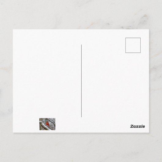 Männlicher Kardinal Postkarte (Rückseite)