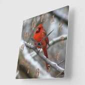 Männlicher Kardinal Quadratische Wanduhr (Winkel)