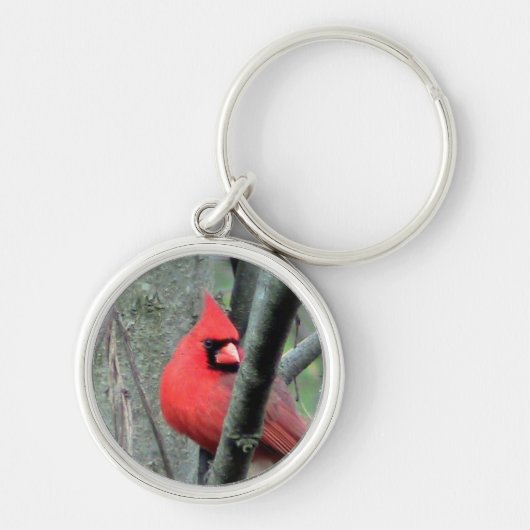 Männlicher Kardinal Schlüsselanhänger (Vorne)