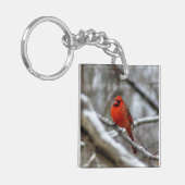Männlicher Kardinal Schlüsselanhänger (Vorderseite links)