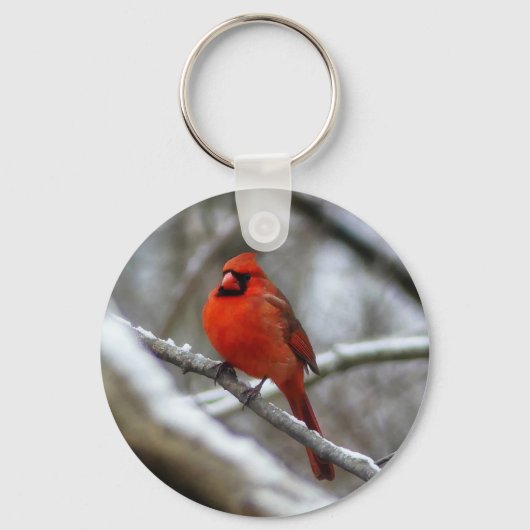 Männlicher Kardinal Schlüsselanhänger (Vorderseite)
