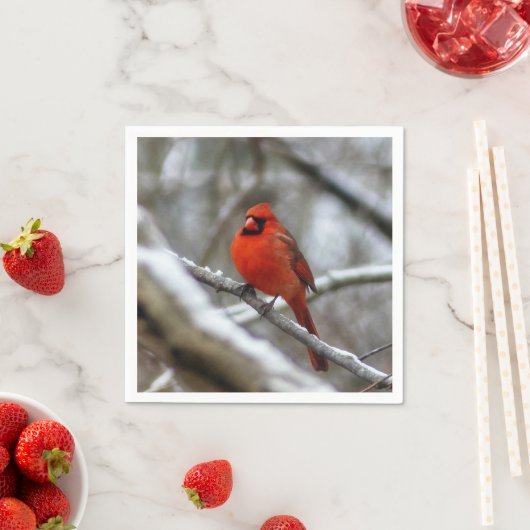 Männlicher Kardinal Serviette (Beispiel)