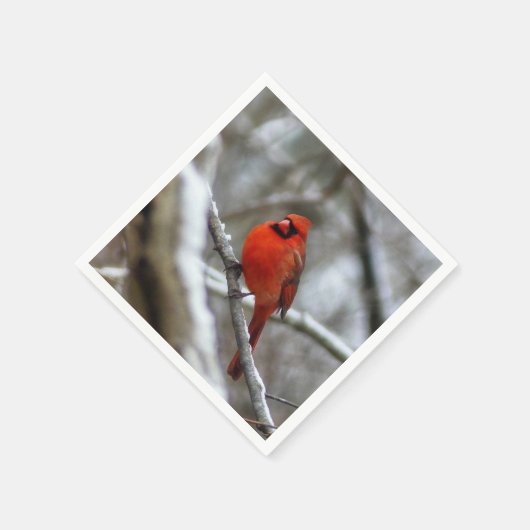 Männlicher Kardinal Serviette (Ecke)