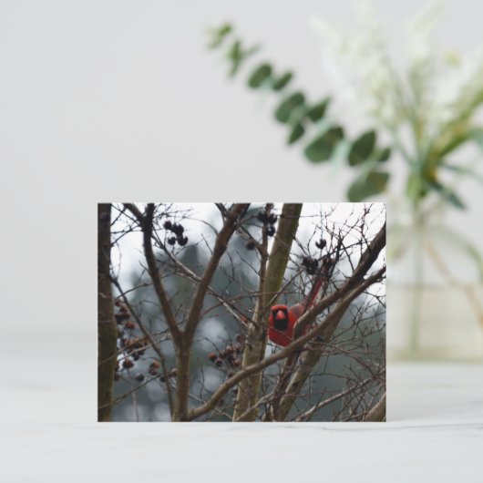 Männlicher Kardinal spielt noch immer lustig Postkarte (Stehend Vorderseite)