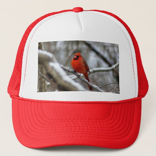 Männlicher Kardinal Truckerkappe (Vorderseite)