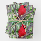 Männlicher Kardinal - Wrackpapier für Jede Anlässe Geschenkpapier Set (Beispiel)