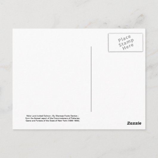 Männlicher Lachs oder Quaniche Postkarte (Rückseite)