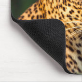 Männlicher Leopard (Panthera Pardus) ausgewachsene Mousepad (Ecke)