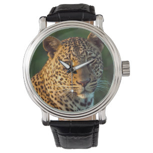 Männlicher Leopard (Panthera Pardus) Grobgrieß Armbanduhr