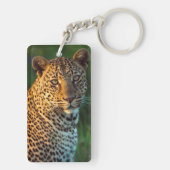 Männlicher Leopard (Panthera Pardus) Schlüsselanhänger (Rückseite)