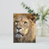 Männlicher Löwe Cartoon Spaß/Neuheit Postkarte (Stehend Vorderseite)