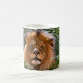 Männlicher Löwe, König der Tierkaffee-Tasse Kaffeetasse (Mittel)