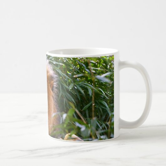 Männlicher Löwe, König der Tierkaffee-Tasse Kaffeetasse (Rechts)