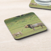 männlicher Löwe mit Jungem, Panthera Löwe, Untersetzer (Linke Seite)