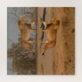 MÄNNLICHER LÖWE REFLEKTIERT PUZZLE (Horizontal)