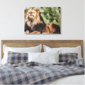 Männlicher Löwe Sonnenbaden Leinwanddruck (Insitu (Schlafzimmer))
