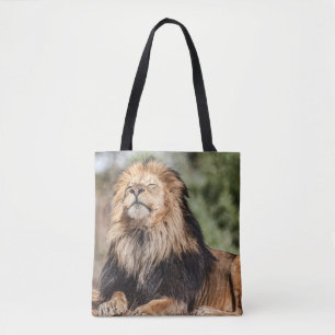 Männlicher Löwe Sonnenbaden Tasche