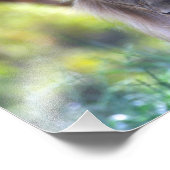 Männlicher Löwenkopf Fotodruck (Ecke)