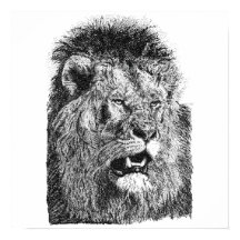 Männlicher Löwenkopf, handgezeichnete Kunst, Illus