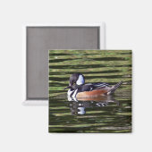 Männlicher Manganser Magnet (Vorderseite/Rückseite)