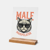 Männlicher Manipulator Lustige Katzen-Sonnenbrille Acrylschild (Winkel)