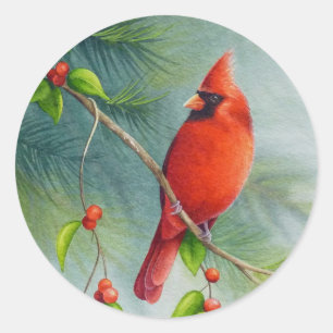 Männlicher Nordischer Kardinal Bird Wasserfarbe Ku Runder Aufkleber