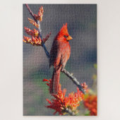 Männlicher NordKardinal Puzzle (Vertikal)