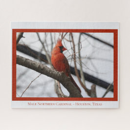 Männlicher nördlicher Kardinal; Bird Lover Puzzle