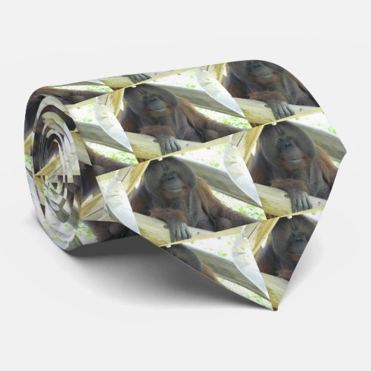 männlicher Orang-Utan Krawatte (Gerollt)