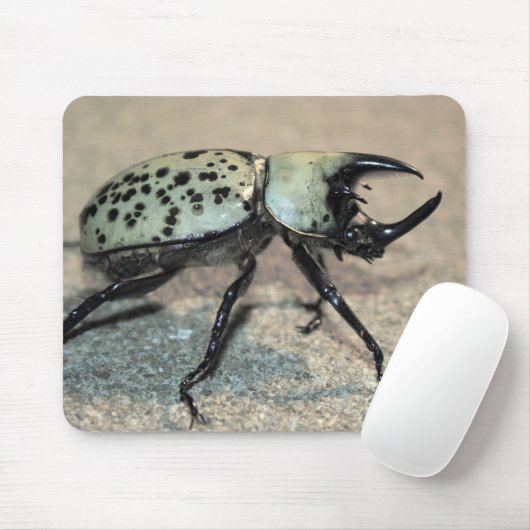 Männlicher Ostherkules-Käfer Mousepad (Mit Mouse)