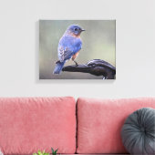 Männlicher östlicher Bluebird im Regen Leinwanddruck (Insitu (Wohnzimmer))