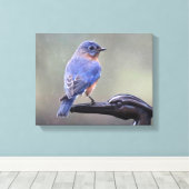 Männlicher östlicher Bluebird im Regen Leinwanddruck (Insitu (Holzboden))