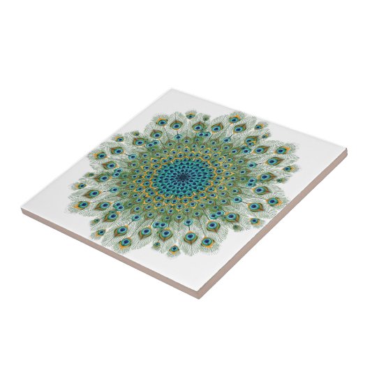 Männlicher Pfau-bunte Mandala Fliese (Seite)