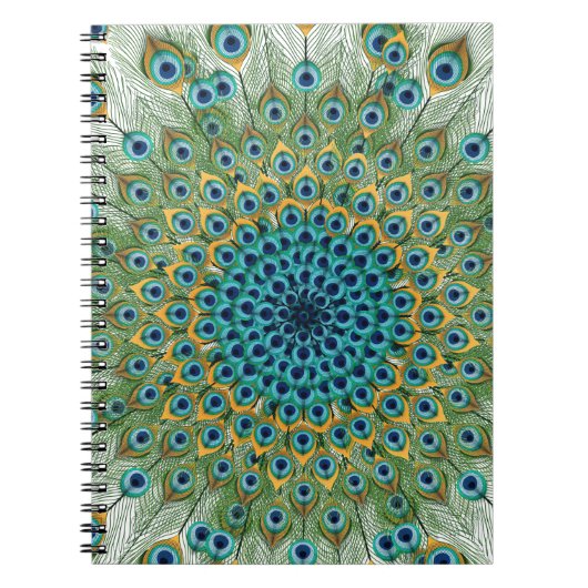 Männlicher Pfau-bunte Mandala Notizblock (Vorderseite)