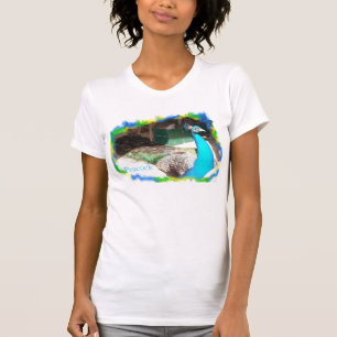 Männlicher Pfau sonnt sich T-Shirt