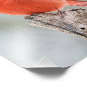 Männlicher Roter Kardinal Schneezweig Schneeballtr Fotodruck (Ecke)