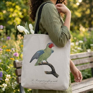 Männlicher Rotscheitelpapagei, Geoffroyus geoffroy Tasche