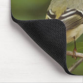 Männlicher Rubinkehlchen, Regulus calendula Mousepad (Ecke)