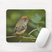 Männlicher Rubinkehlchen, Regulus calendula Mousepad (Mit Mouse)