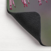 Männlicher Rubinkehlkolibri, Archilochus Mousepad (Ecke)
