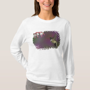 Männlicher Rubinkehlkolibri T-Shirt