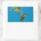 Männlicher Ruby-Rachen-Kolibris auf Baum Rechteckiger Aufkleber (Tasche)