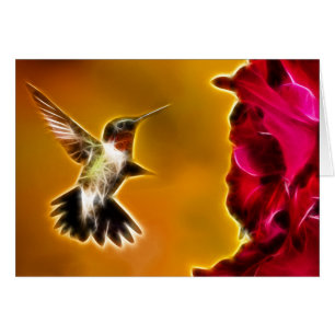 Männlicher Ruby-throated Hummingbird