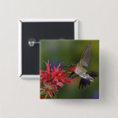 Männlicher Ruby-throated Hummingbird Button (Vorne & Hinten)
