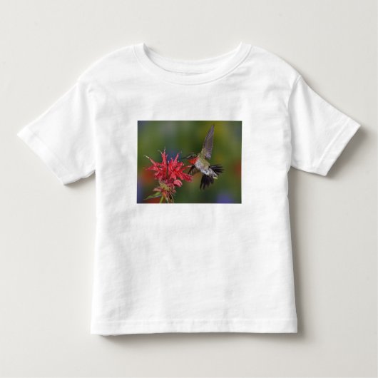 Männlicher Ruby-throated Hummingbird Kleinkind T-shirt (Vorderseite)