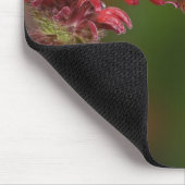 Männlicher Ruby-throated Hummingbird Mousepad (Ecke)