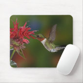 Männlicher Ruby-throated Hummingbird Mousepad (Mit Mouse)