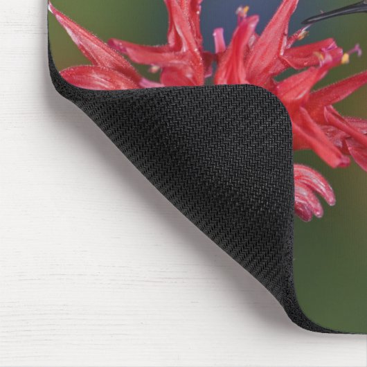 Männlicher Ruby-throated Hummingbird Mousepad (Ecke)